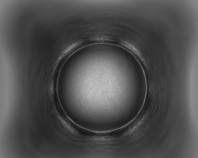X0000085750629200703231133