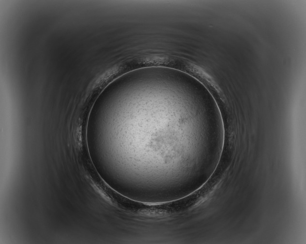 X0000085750633200703231133