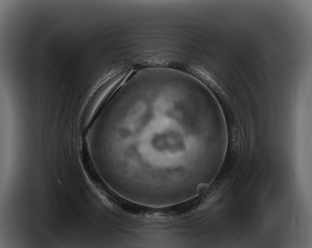 X0000085750634200703231133