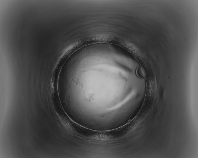 X0000085750636200703231133