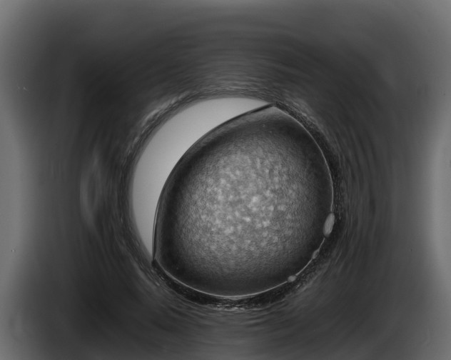 X0000085750640200703231133