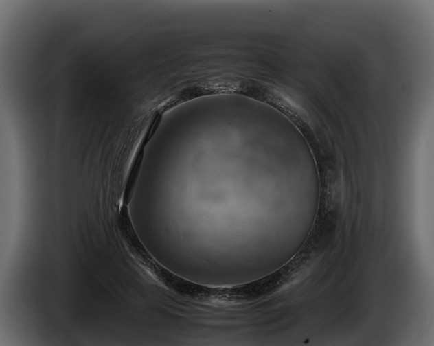 X0000085750641200703231133