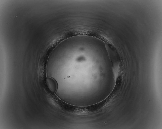 X0000085750642200703231133