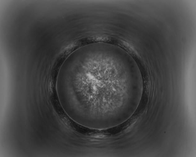 X0000085750643200703231133