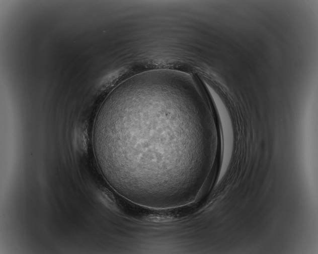X0000085750644200703231133