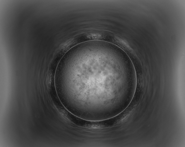 X0000085750645200703231133