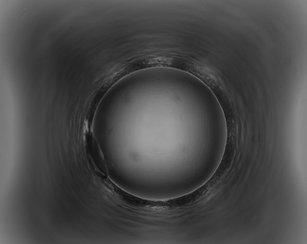 X0000085750649200703231133