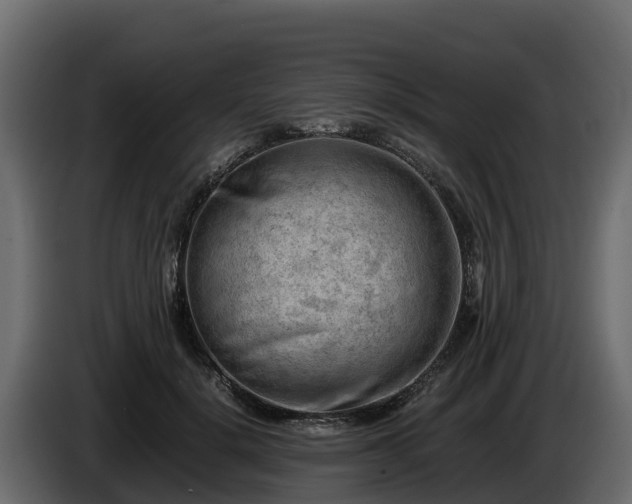 X0000085750652200703231133