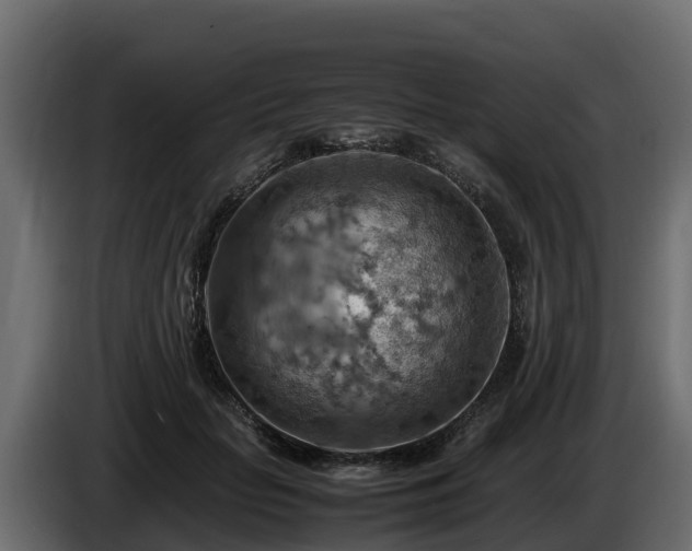 X0000085750653200703231133