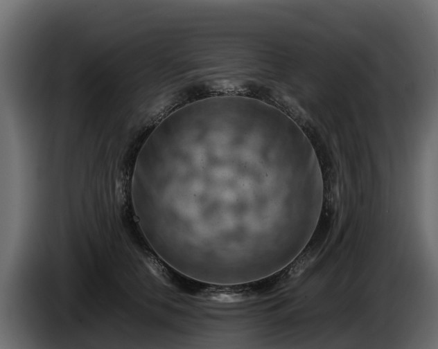 X0000085750658200703231133
