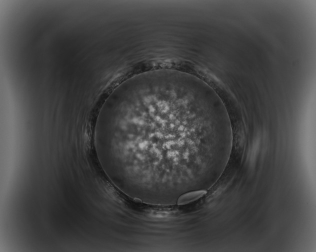X0000085750661200703231133