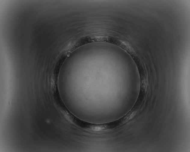 X0000085750662200703231133