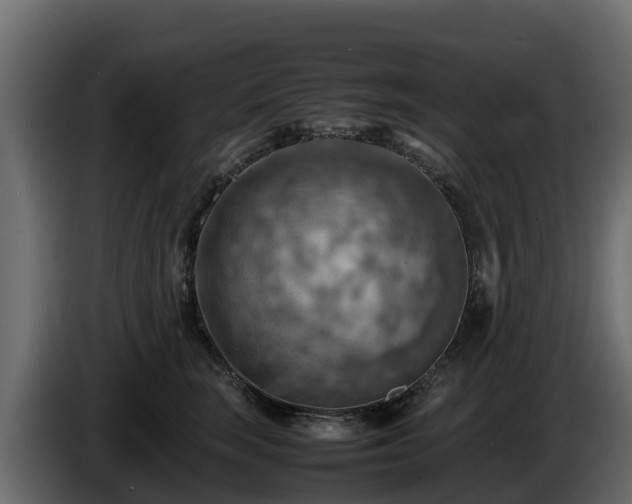 X0000085750663200703231133