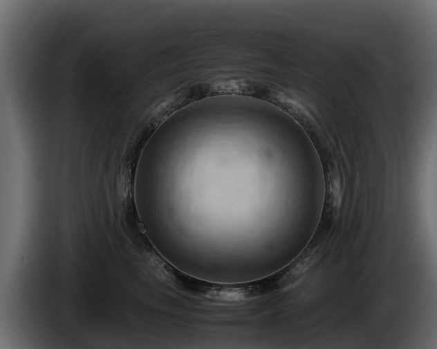 X0000085750665200703231133