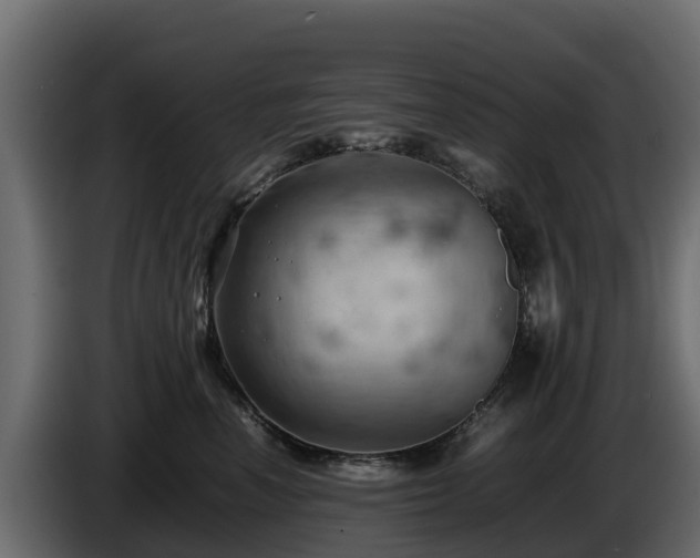 X0000085750666200703231133