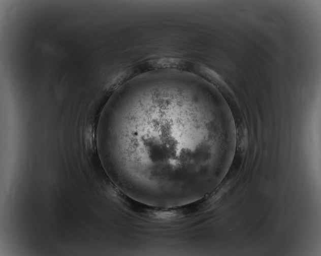 X0000085750669200703231133