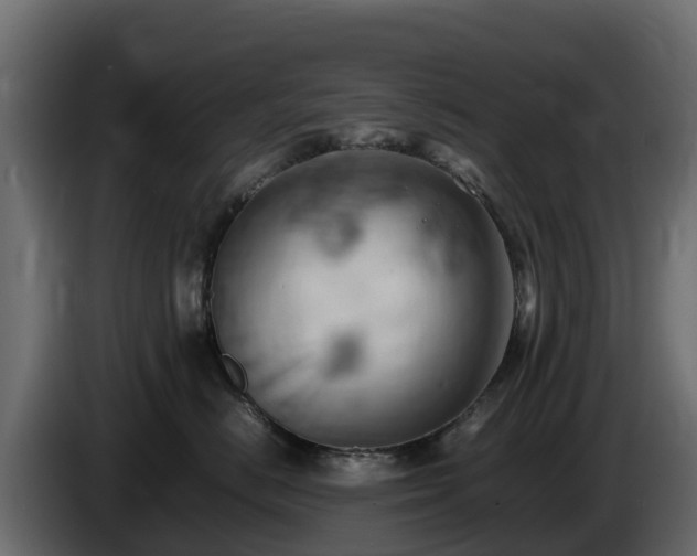 X0000085750670200703231133
