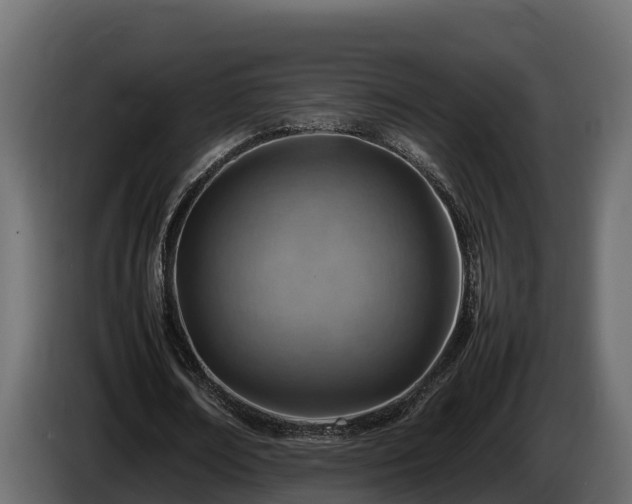 X0000085750674200703231133