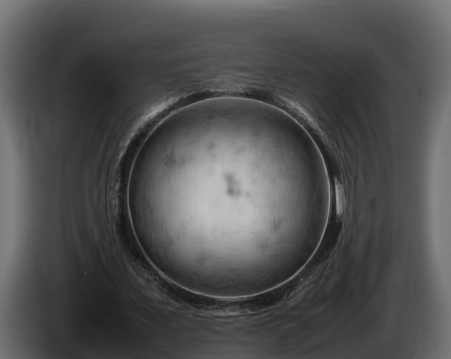 X0000085750675200703231133