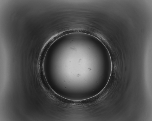 X0000085750676200703231133