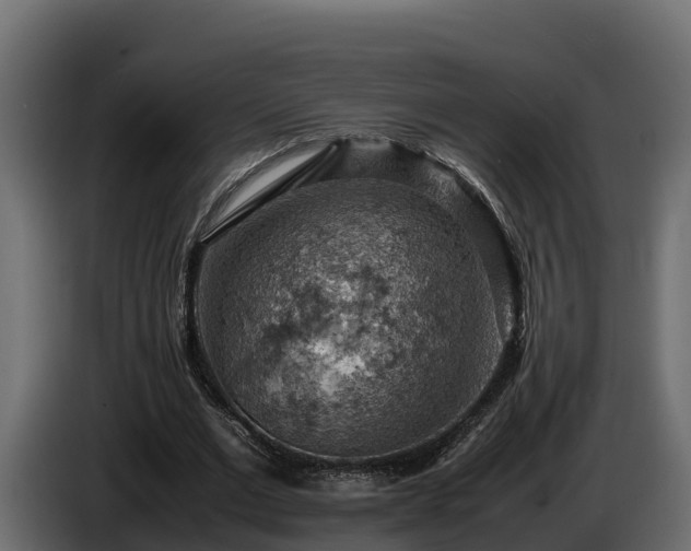 X0000085750677200703231133