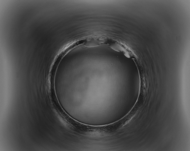X0000085750678200703231133
