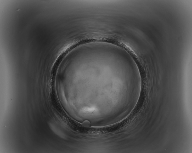 X0000085750679200703231133