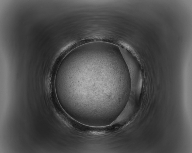 X0000085750680200703231133