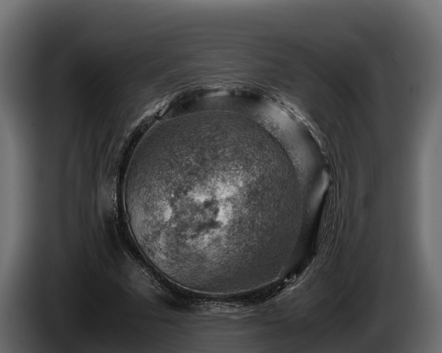 X0000085750681200703231133