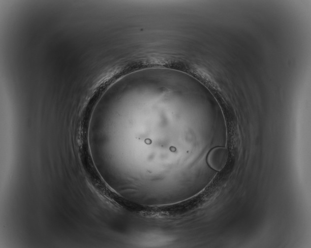 X0000085750683200703231133