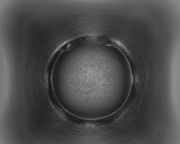 X0000085750684200703231133