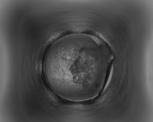 X0000085750685200703231133