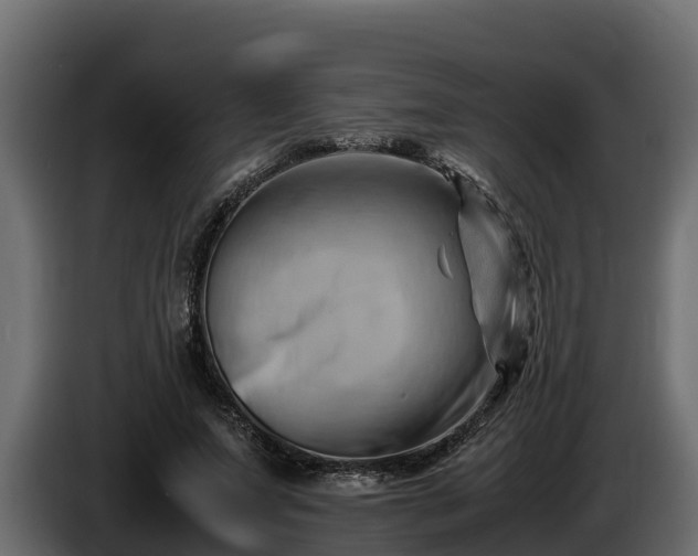 X0000085750687200703231133