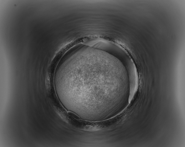 X0000085750688200703231133