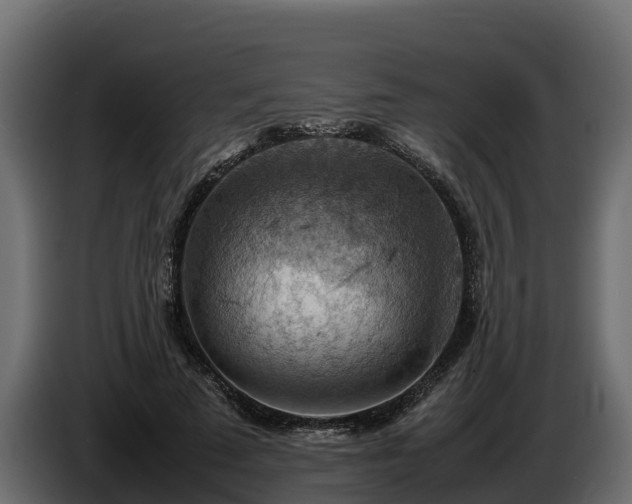 X0000085750689200703231133