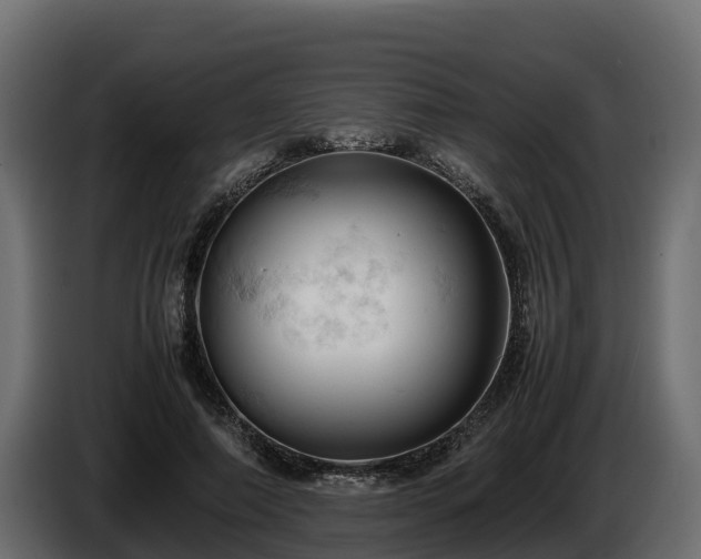 X0000085750690200703231132