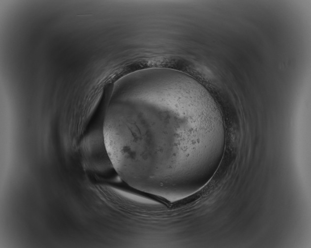 X0000085750691200703231132