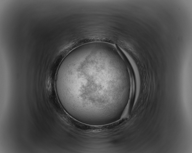 X0000085750692200703231132