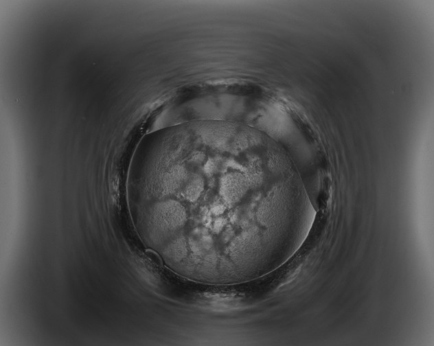 X0000085750693200703231132