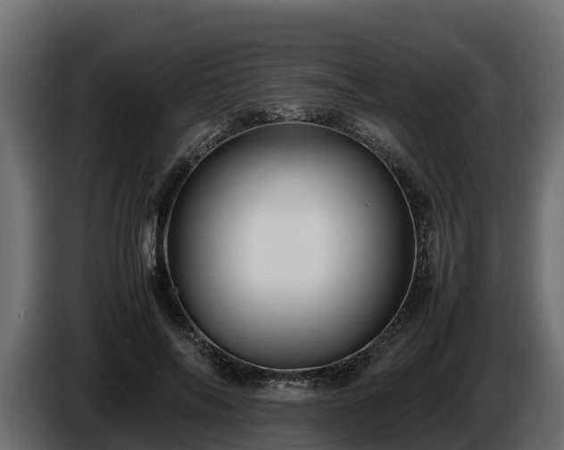 X0000085750694200703231132