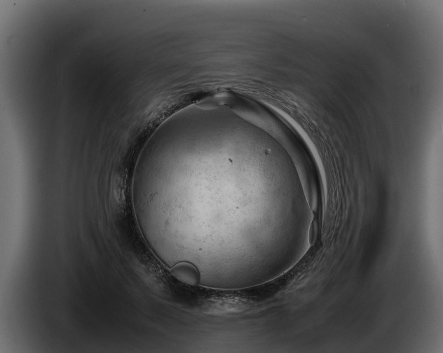 X0000085750695200703231132