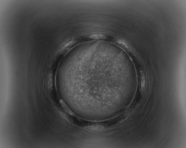 X0000085750696200703231132