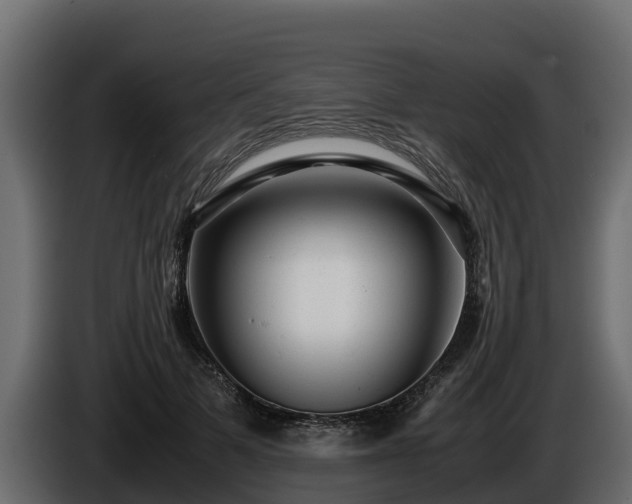 X0000085750697200703231132