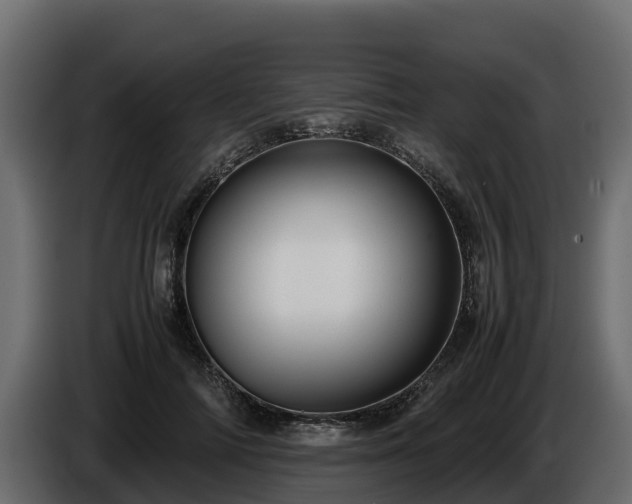 X0000085750698200703231132