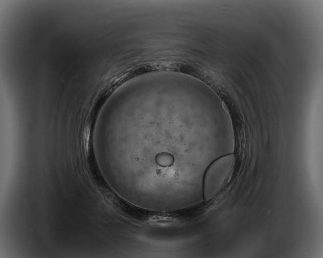 X0000085750699200703231132