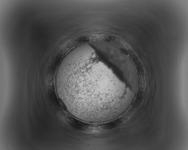 X0000085750701200703231132