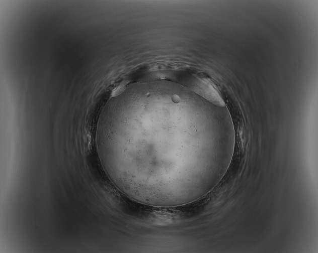 X0000085750703200703231132