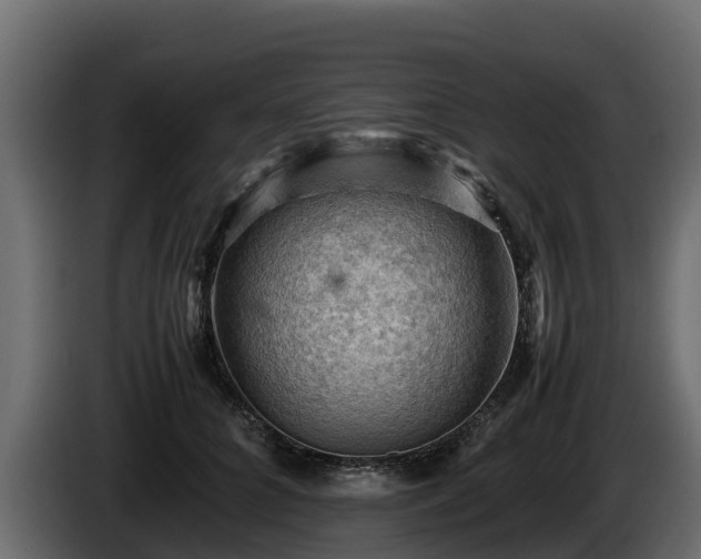 X0000085750704200703231132