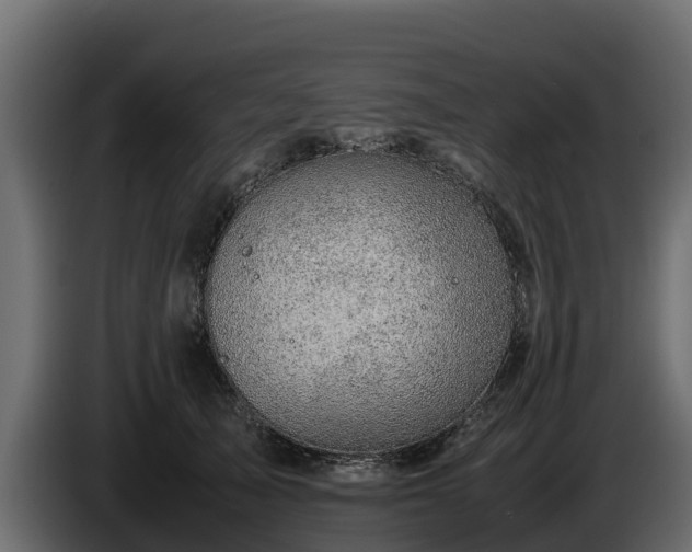 X0000085750705200703231132