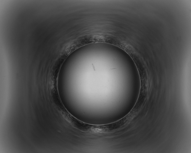 X0000085750706200703231132